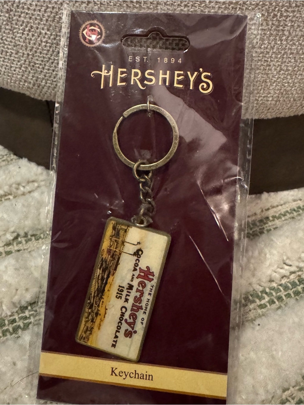 Vintage Hershey's Keychain "The Home of Hershey's 1915" Factory Art Nostalgia